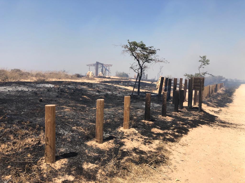 מצפור אסף סיבוני אחרי השריפה