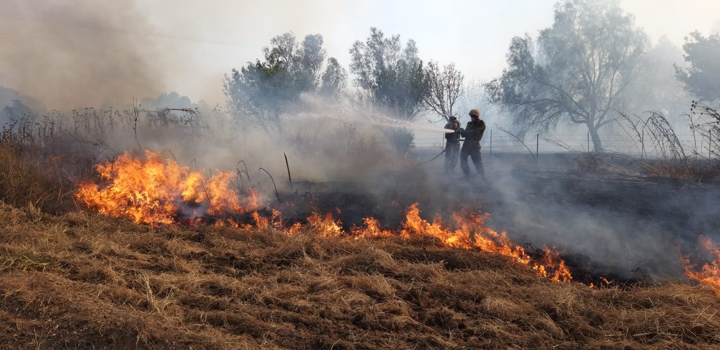 בטחון שער הנגב