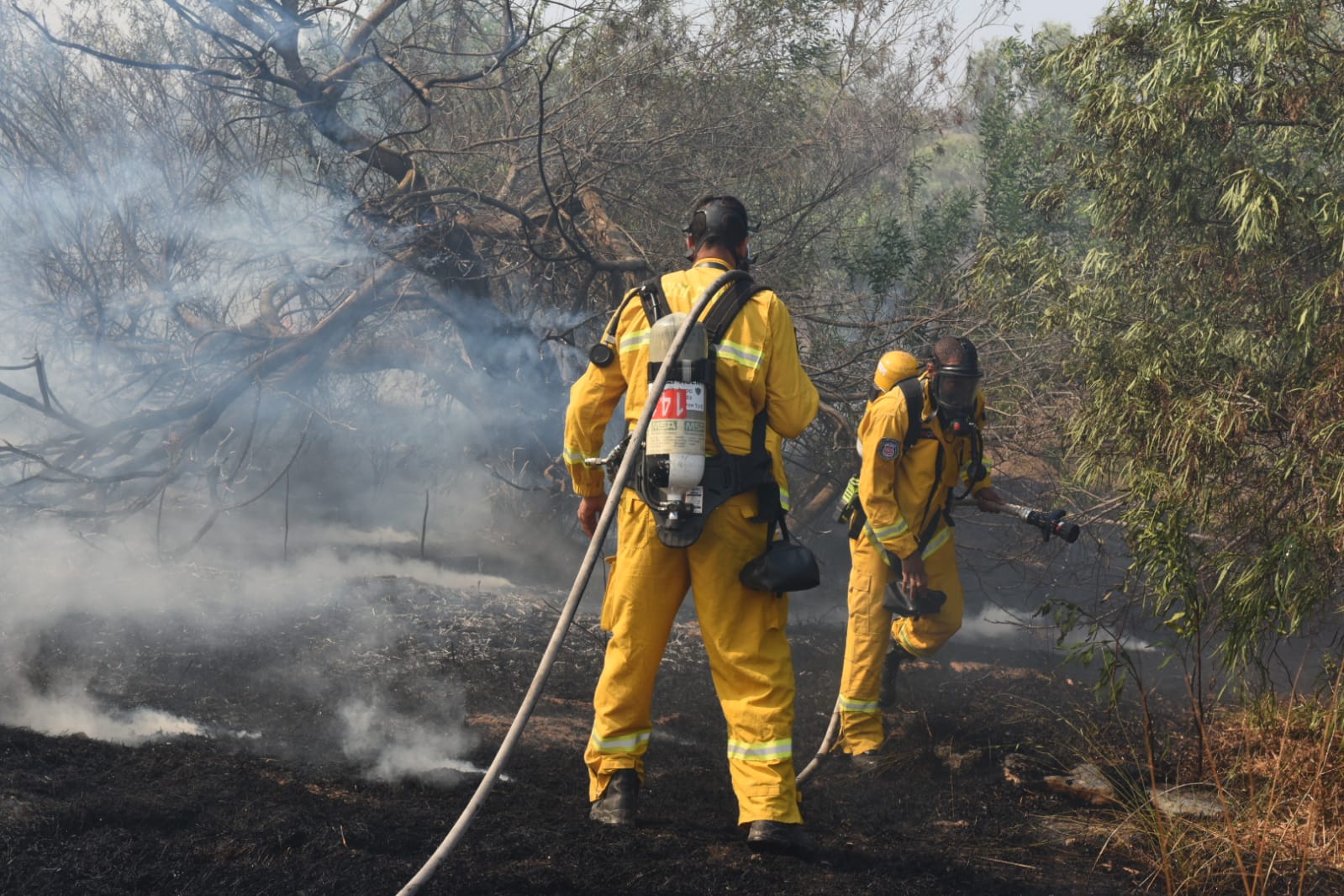 דוברות כב"ה מחוז דרום