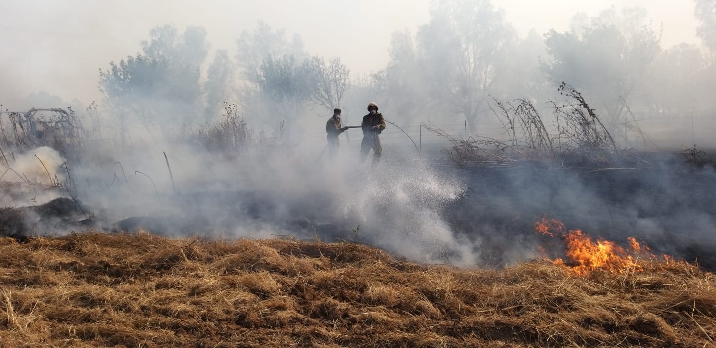 צילום: יענקלה גרוספלד