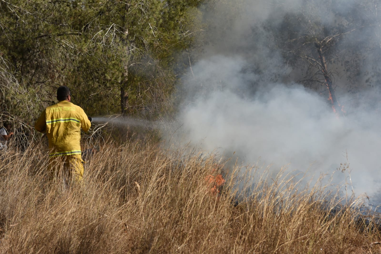 דוברות כב"ה מחוז דרום