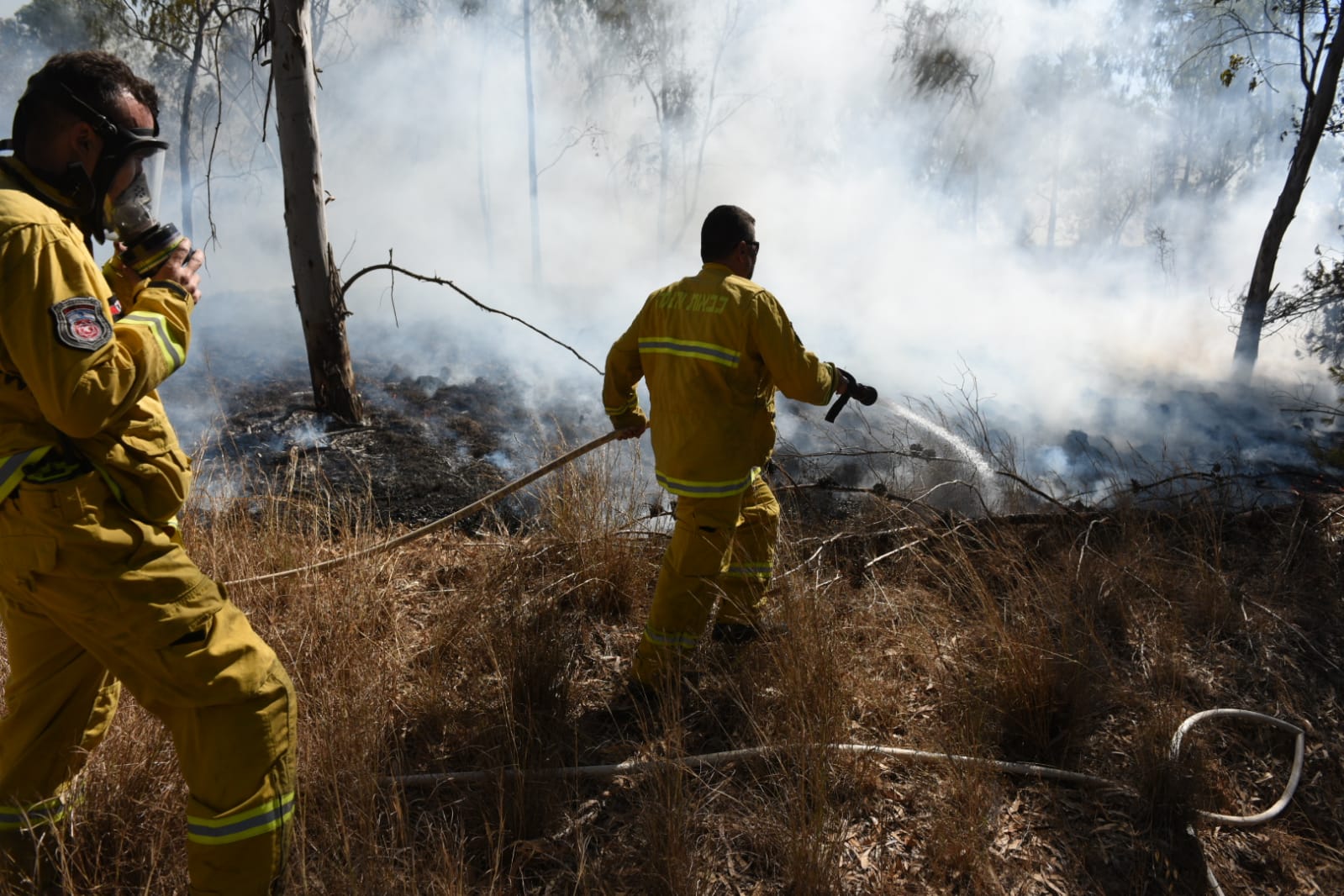 דוברות כב"ה מחוז דרום