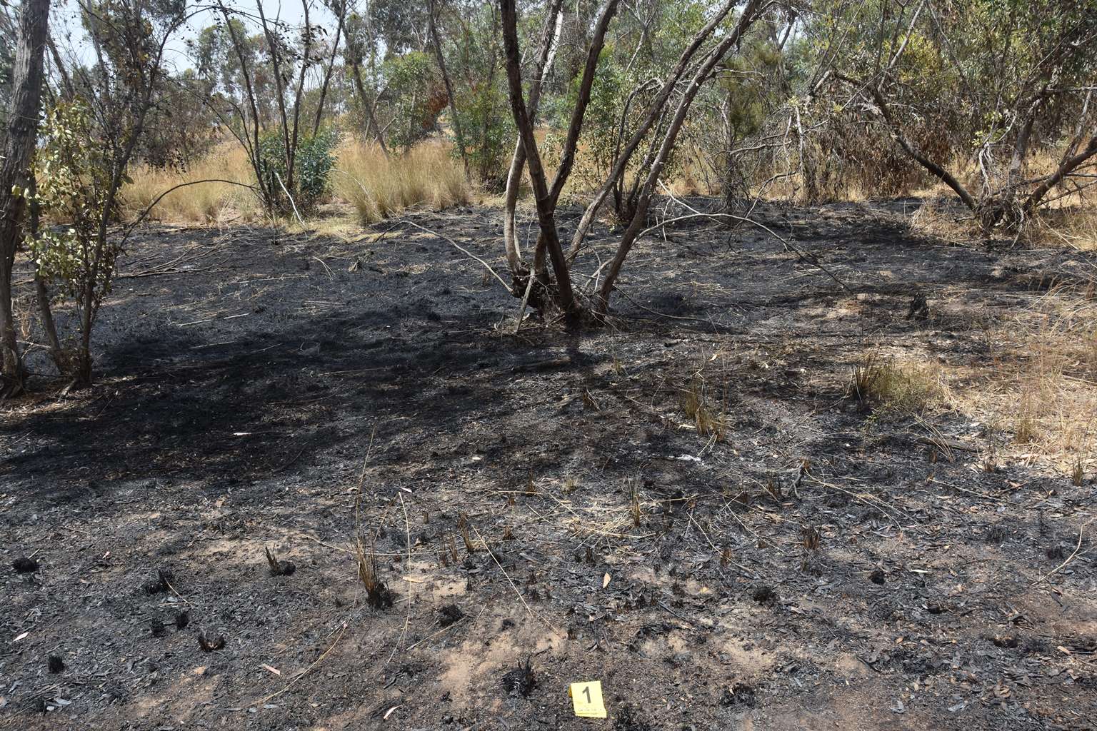 דוברות כב"ה מחוז דרום