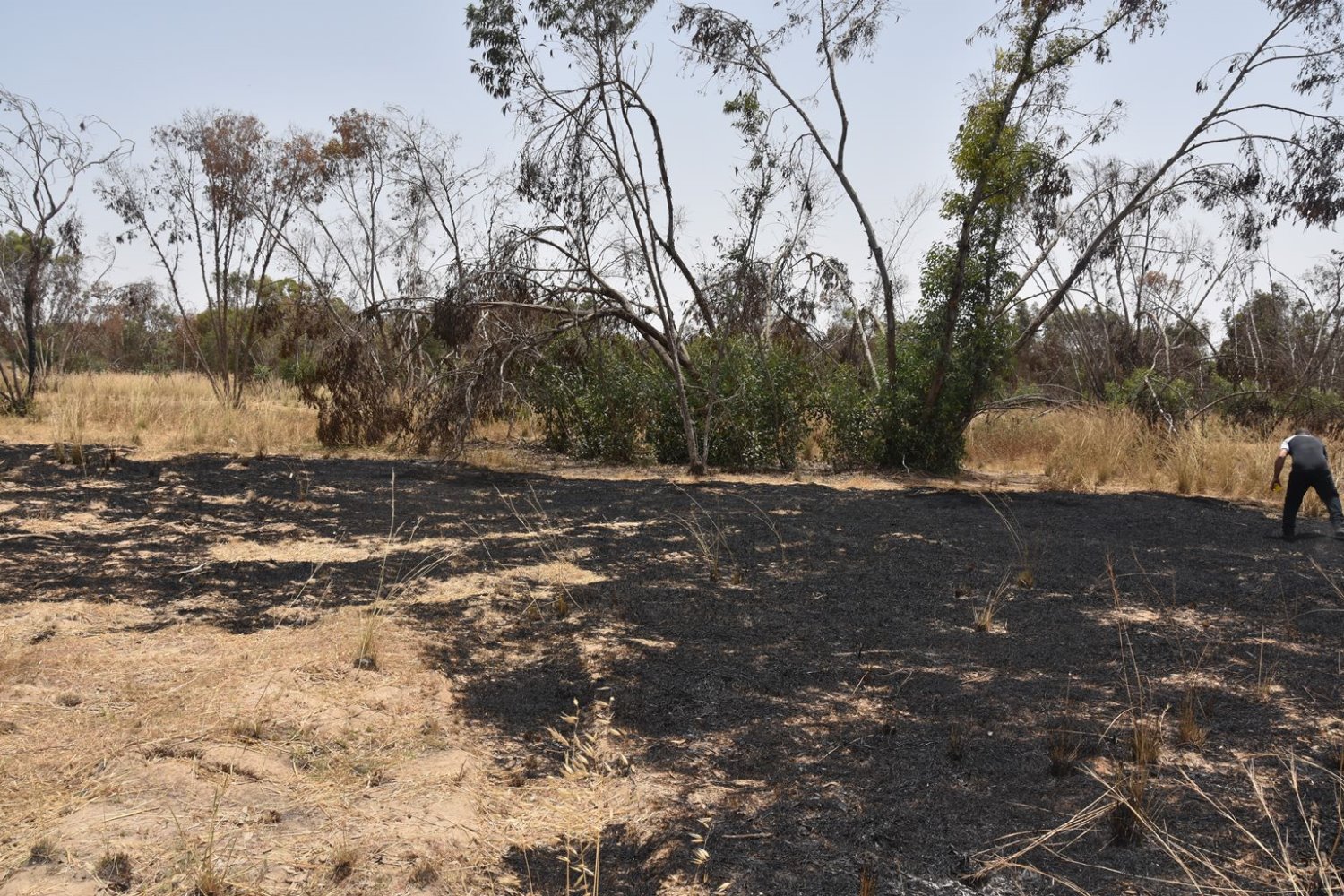 דוברות כב"ה מחוז דרום