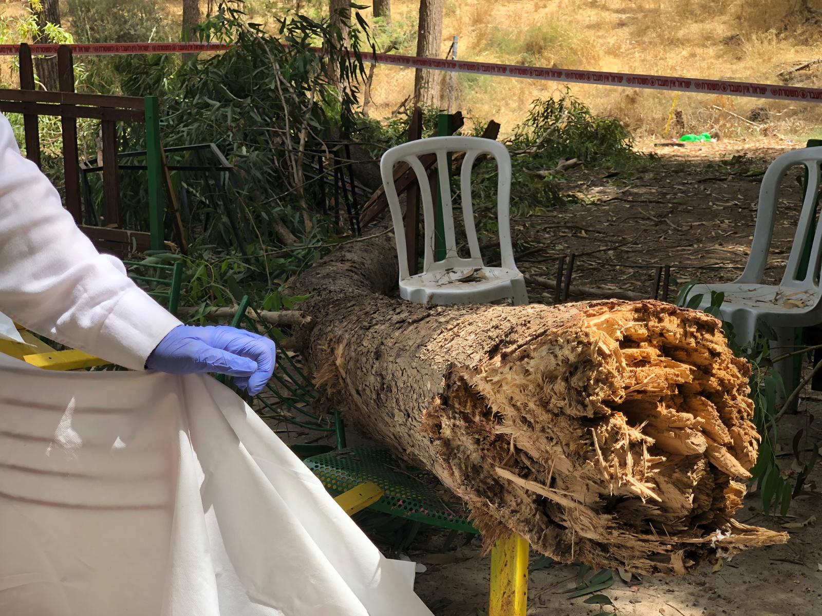 דוברות משטרה