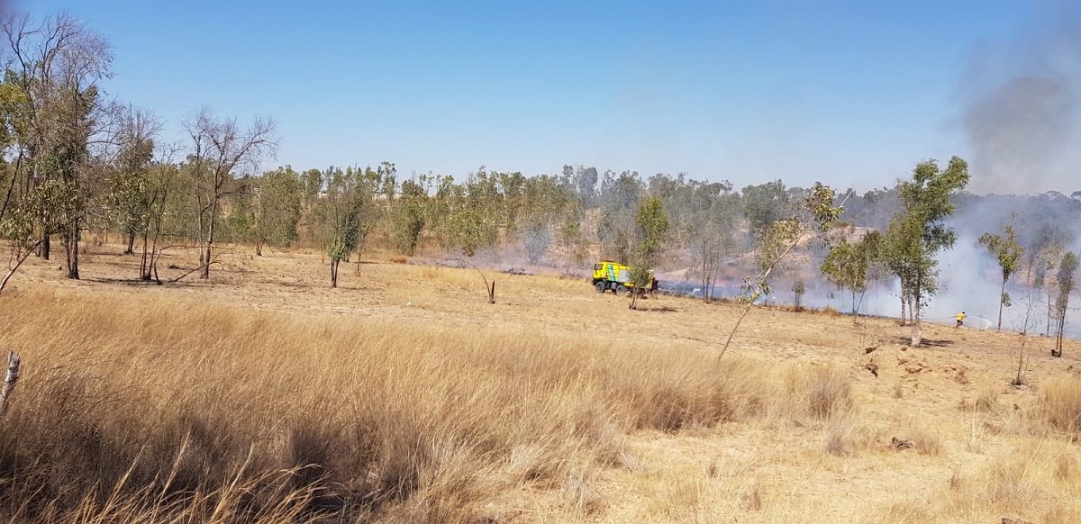 צילום משה ברוכי יערן קק"ל