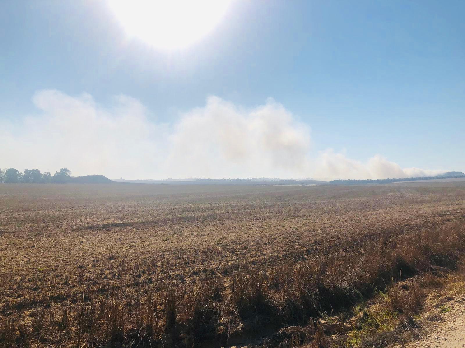מועצה אזורית אשכול