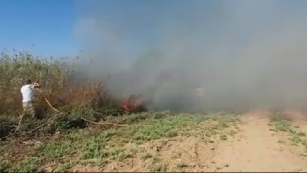 שריפה בעלומים