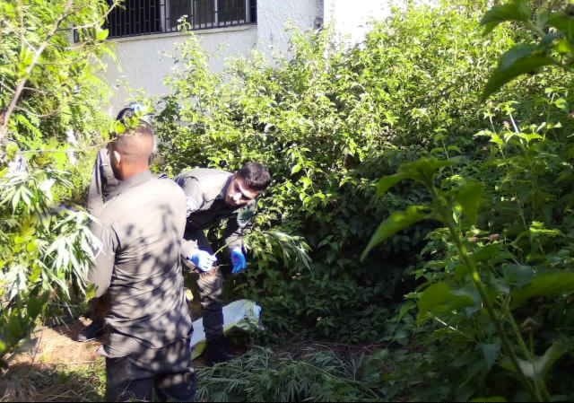 צילום דוברות משטרה