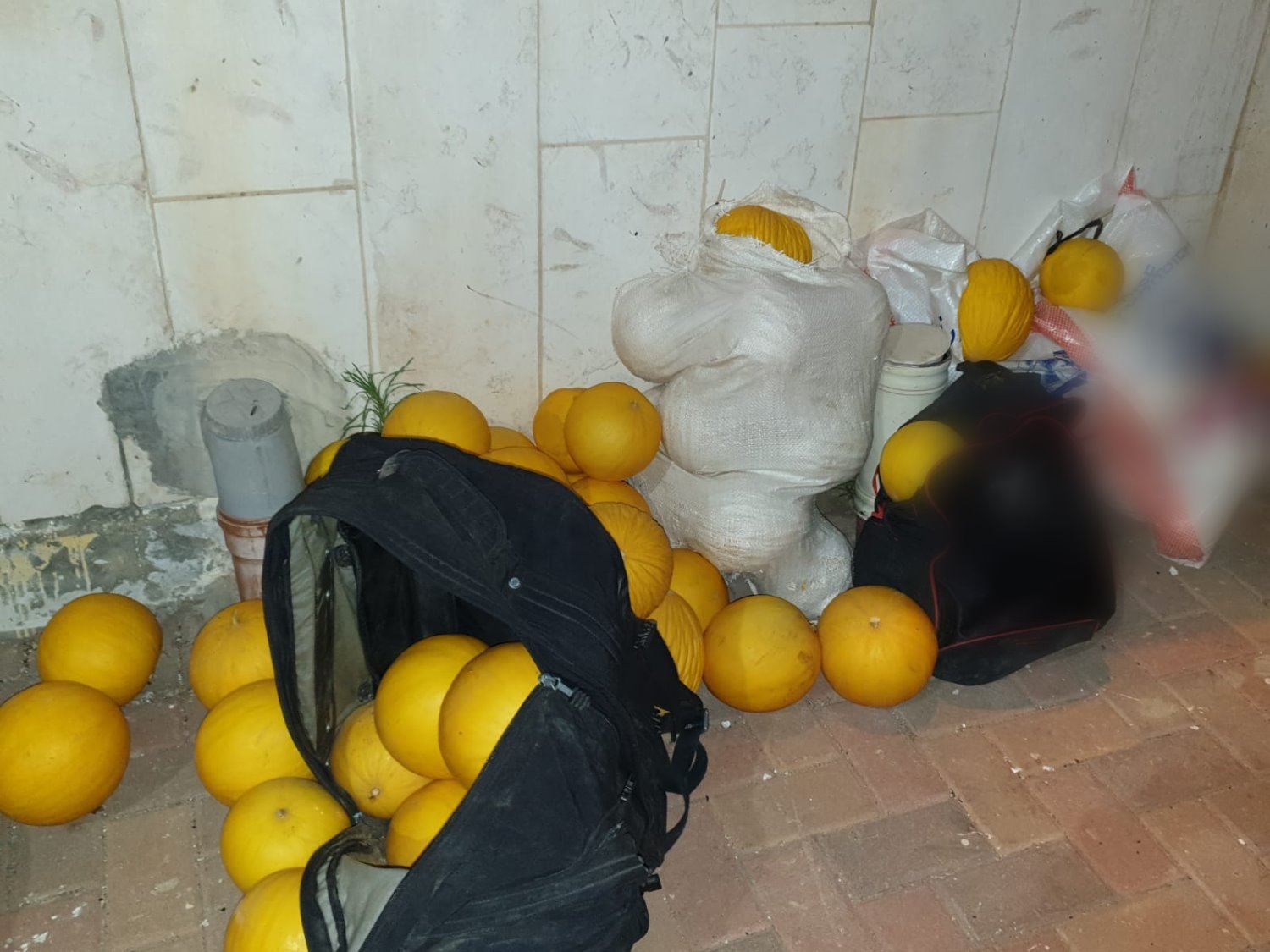 דוברות משטרה