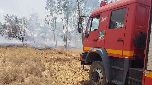 השריפה ביער שמחוני( צילום: משה ברוכי, יערן קק״ל)
