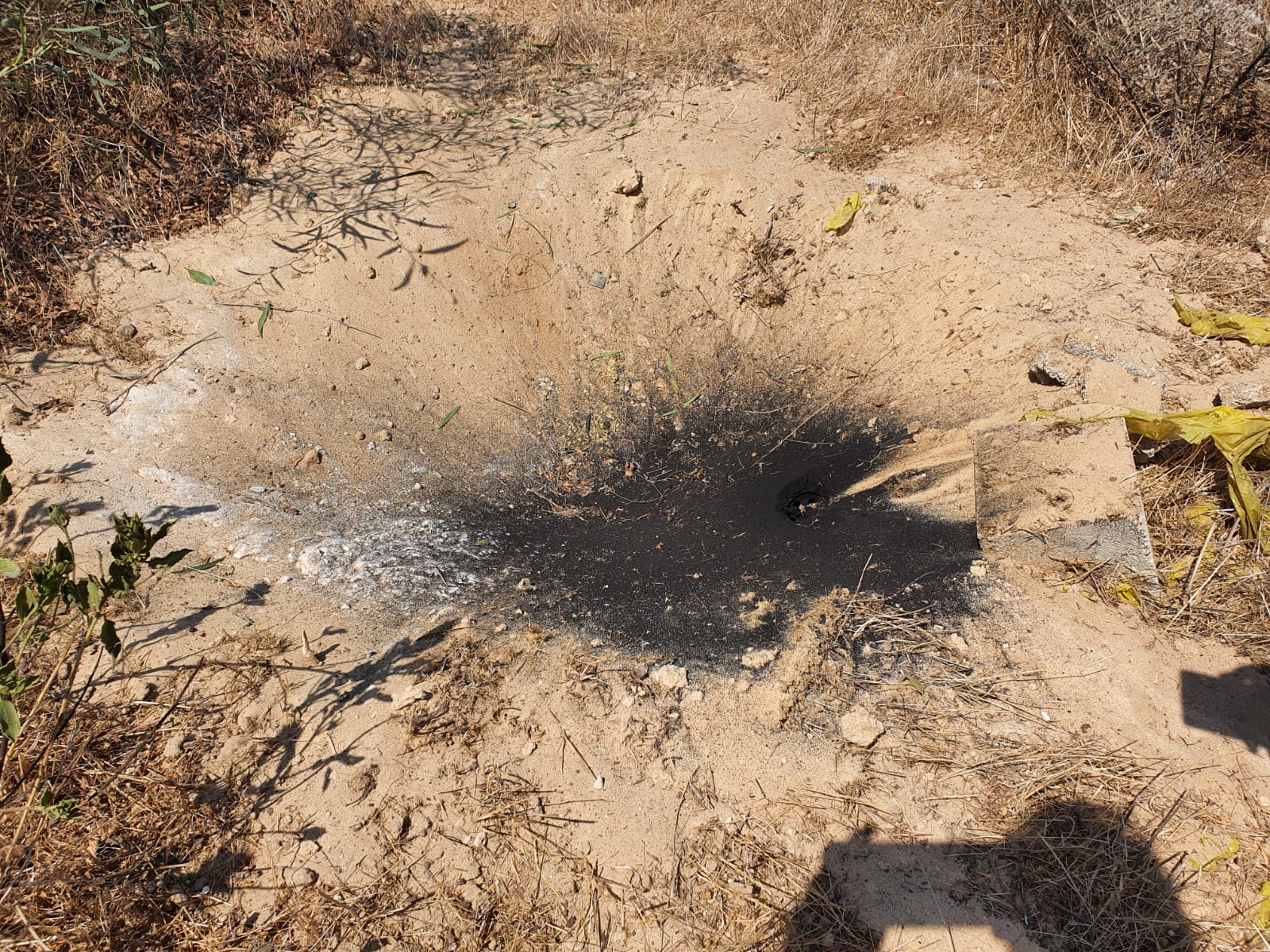 דוברות מ.א חוף אשקלון