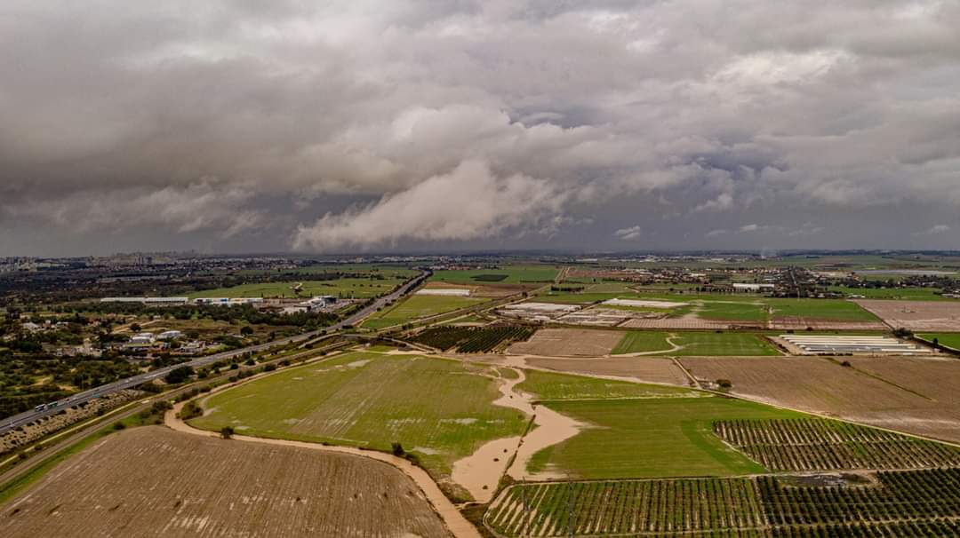 אמנון זיו מאגר שקמה