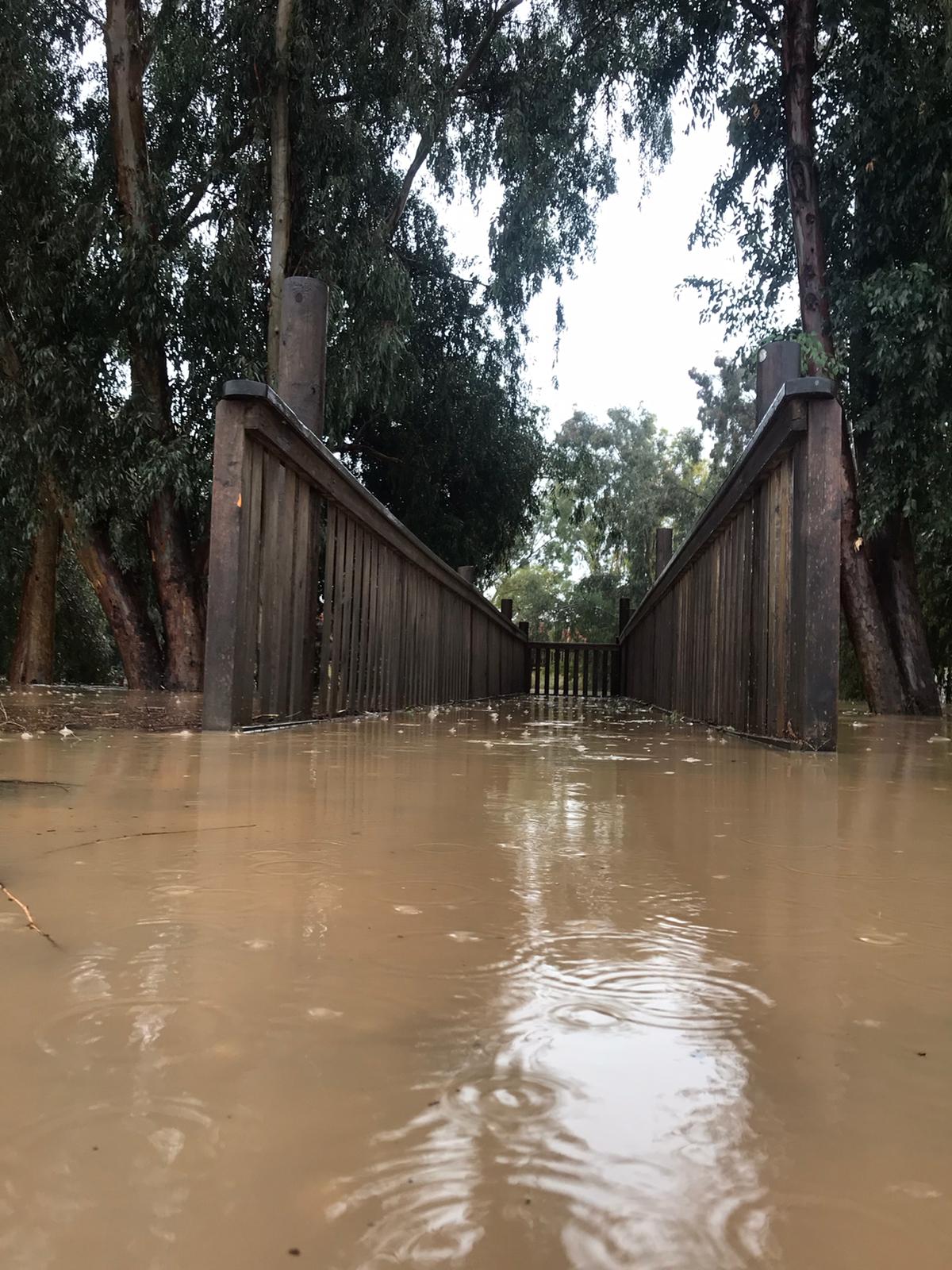 צילום ניסן חלבה - עין צורים