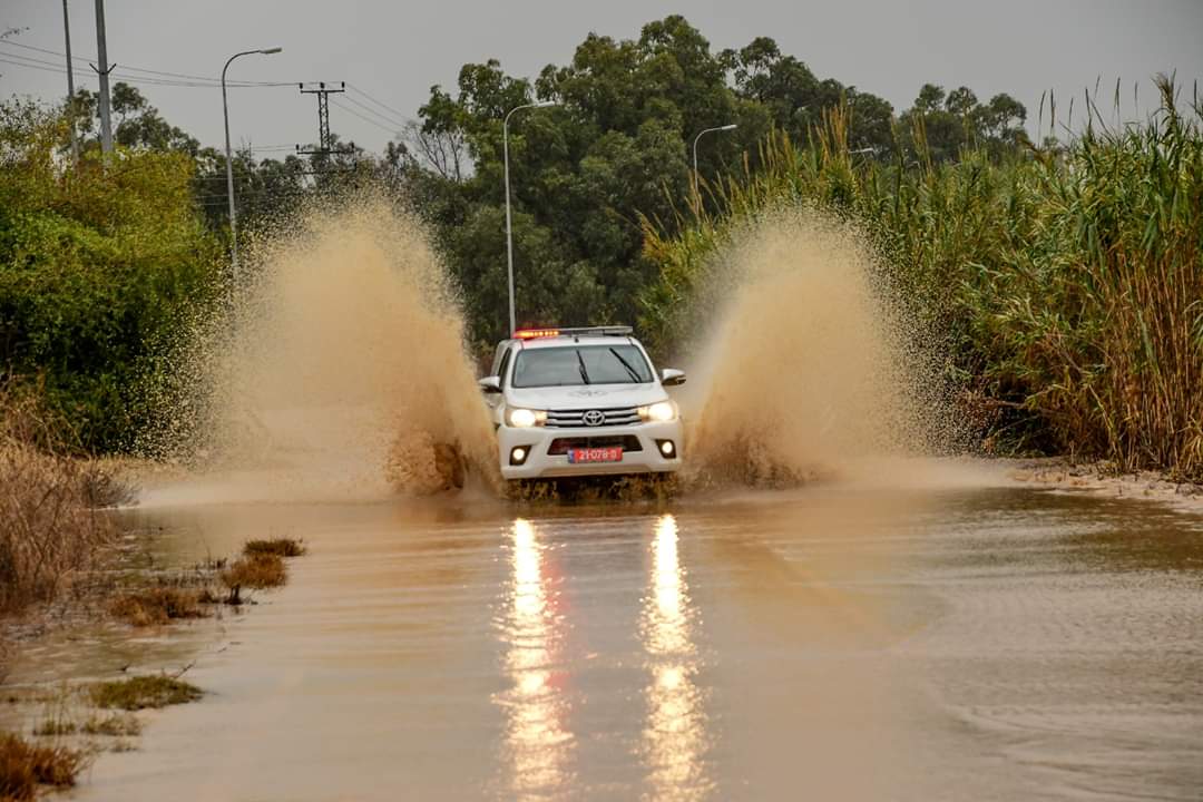 אמנון זיו מאגר שקמה