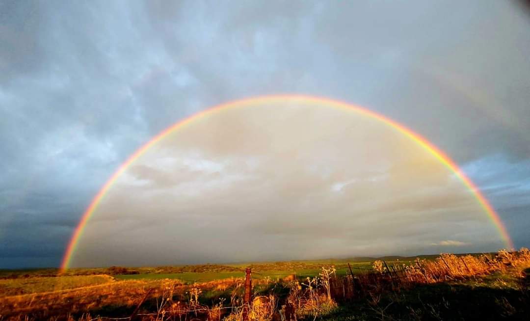 שדות בית ניר -צילום עינב אוחיון