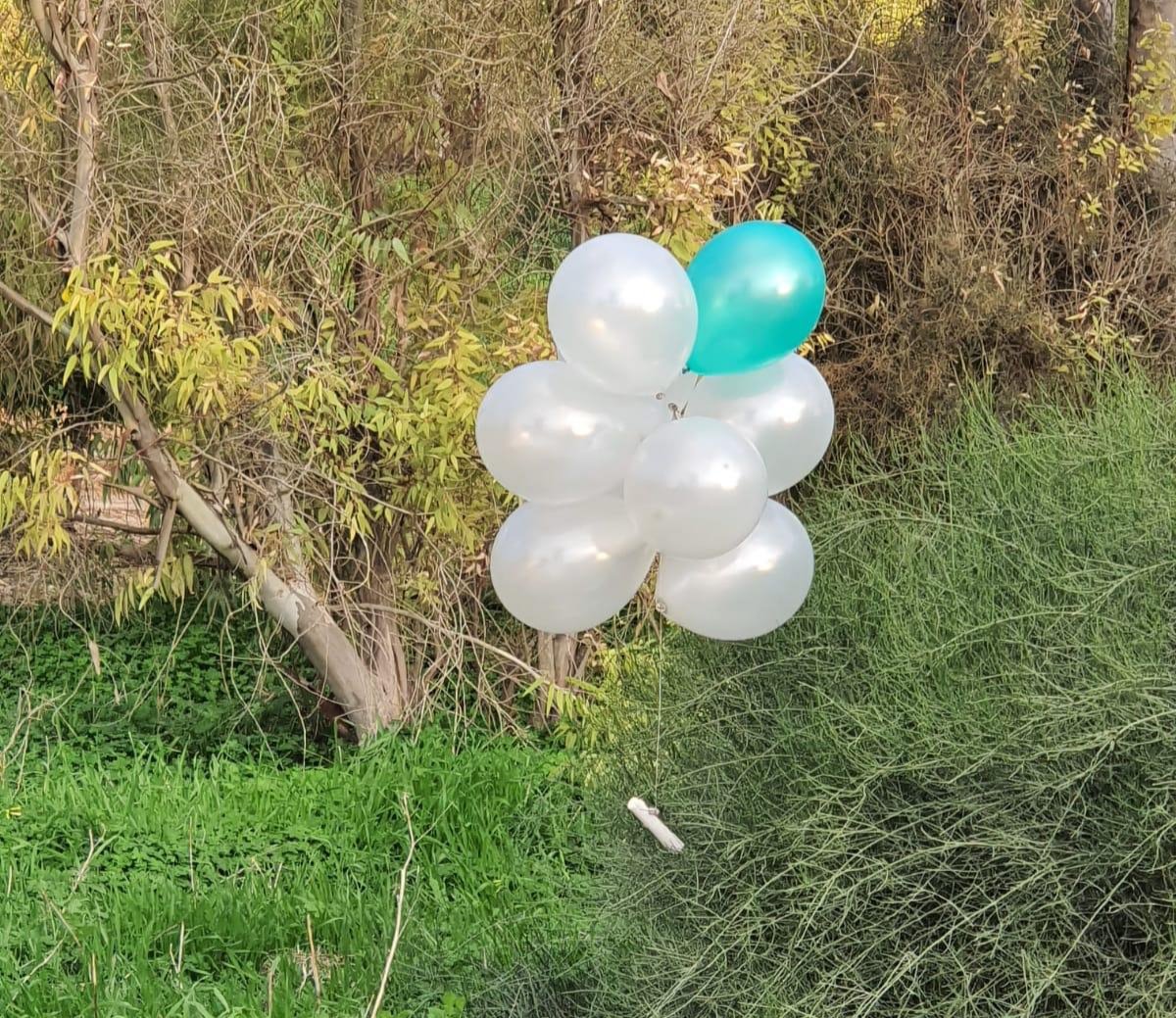 דוברות משטרה