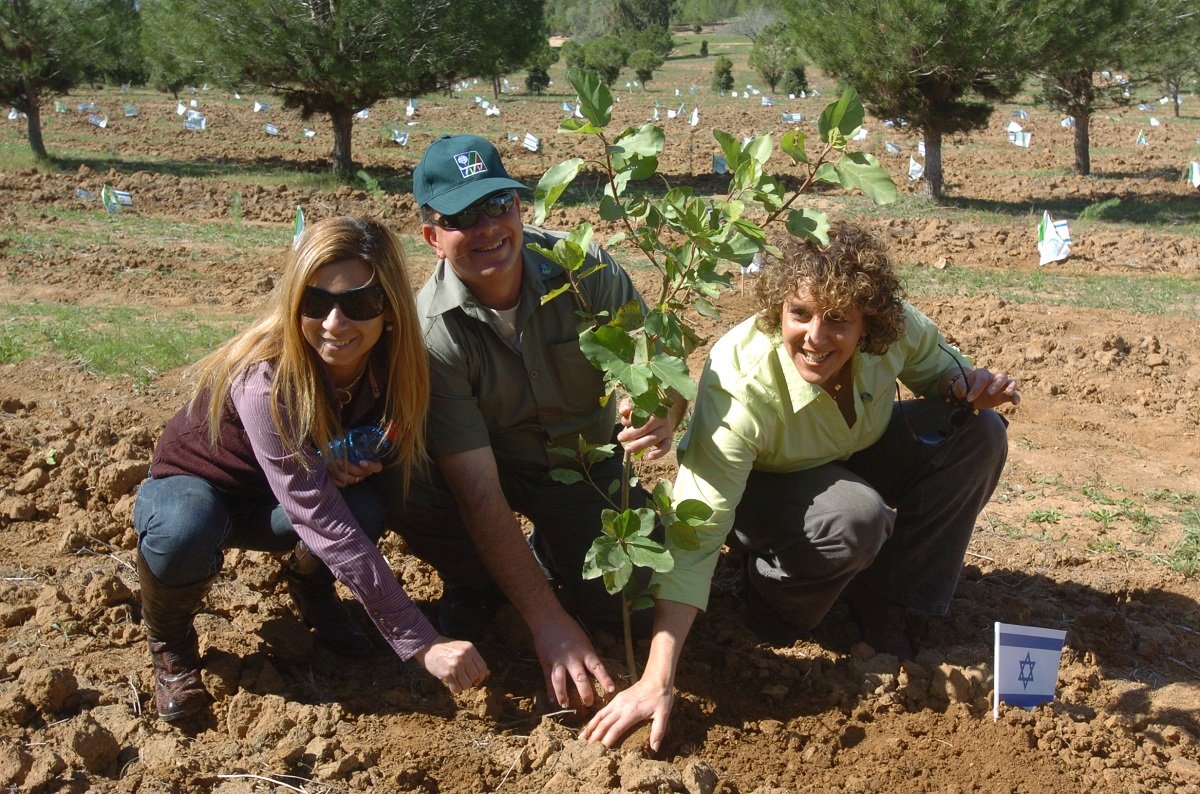 צילום דודו גרינשפן