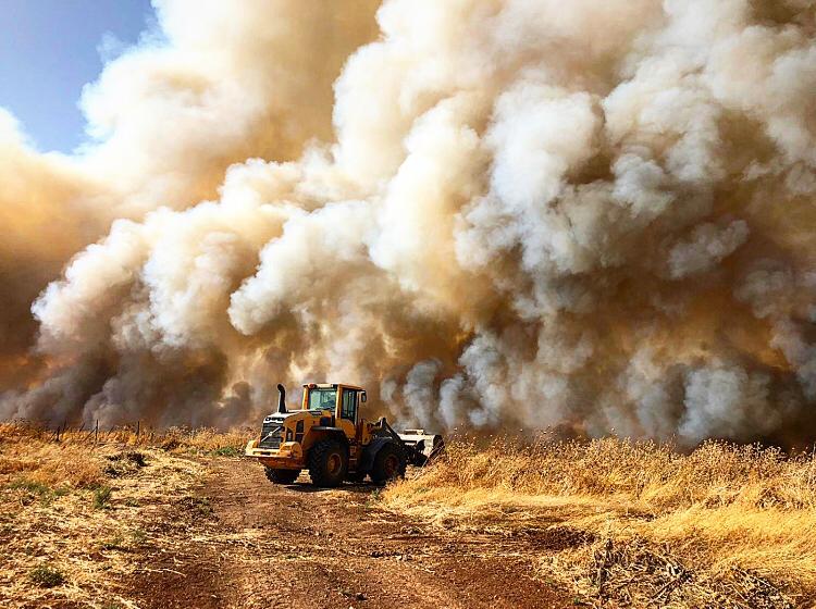 צילום השומר החדש