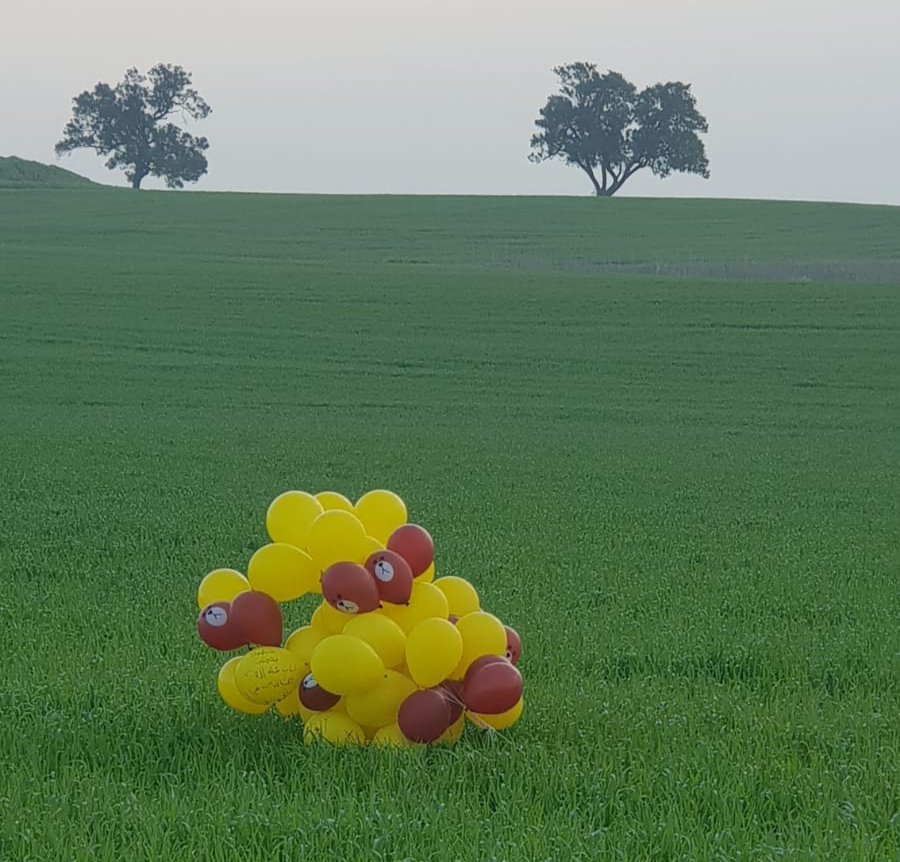 דוברות משטרה