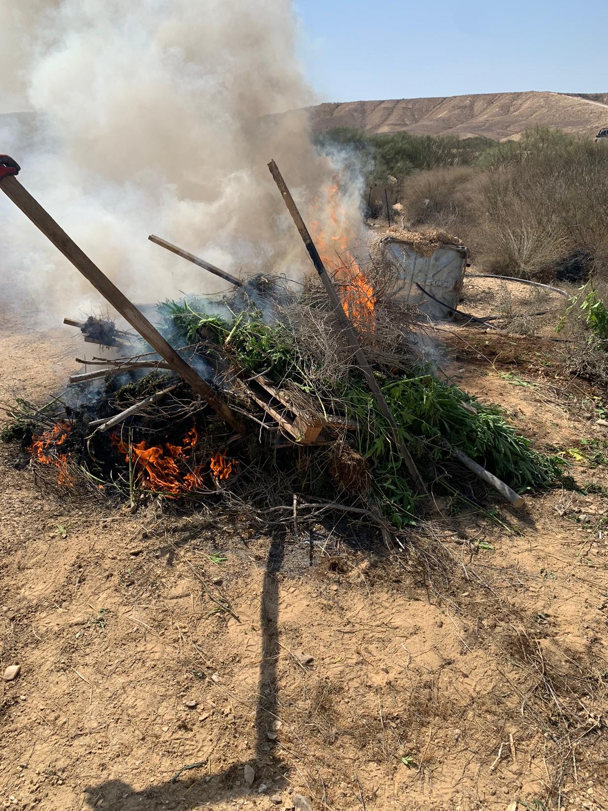 דוברות משטרה