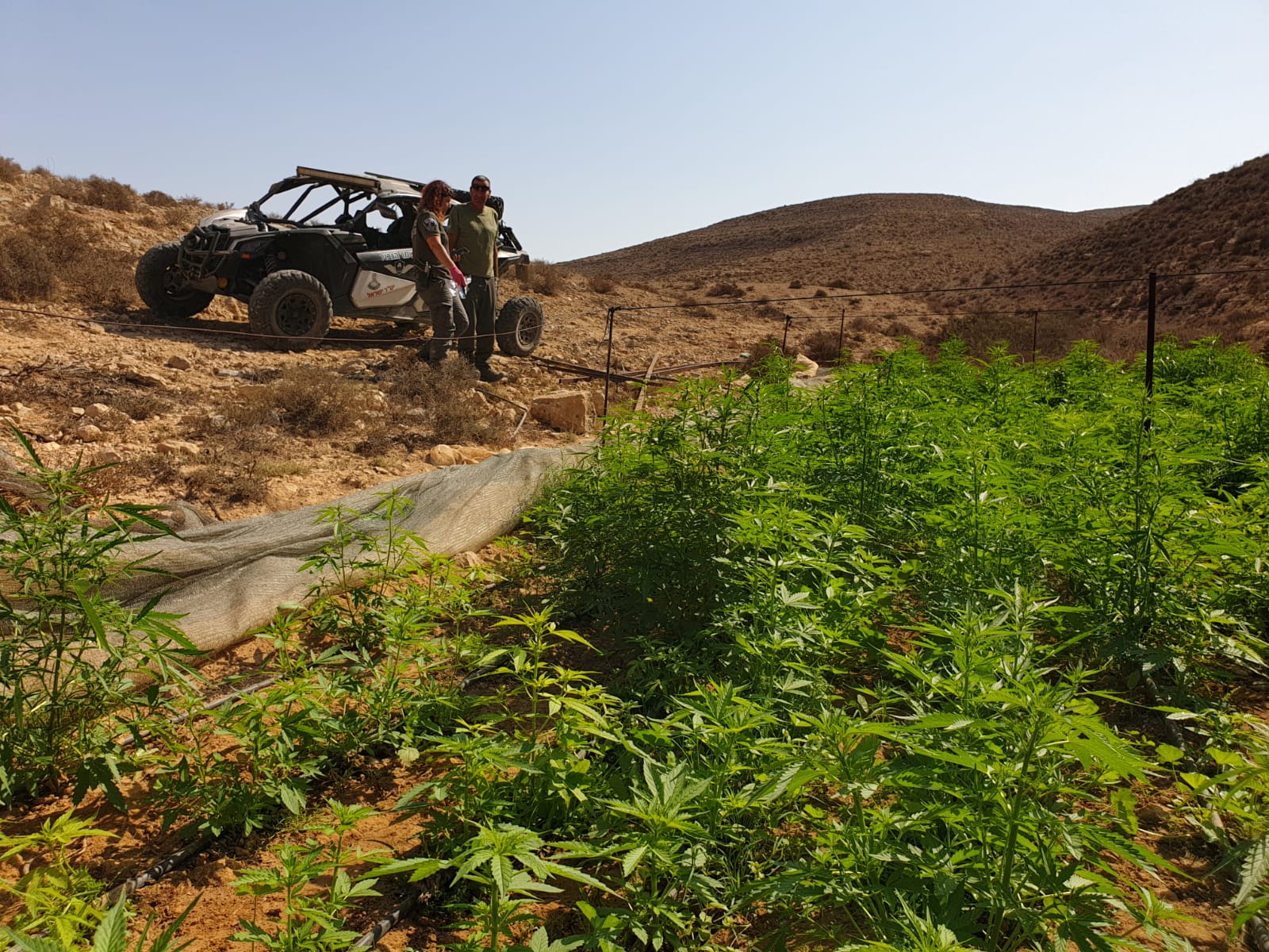 דוברות משטרה