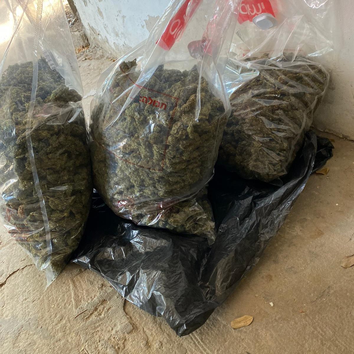 צילום : דוברות משטרה 