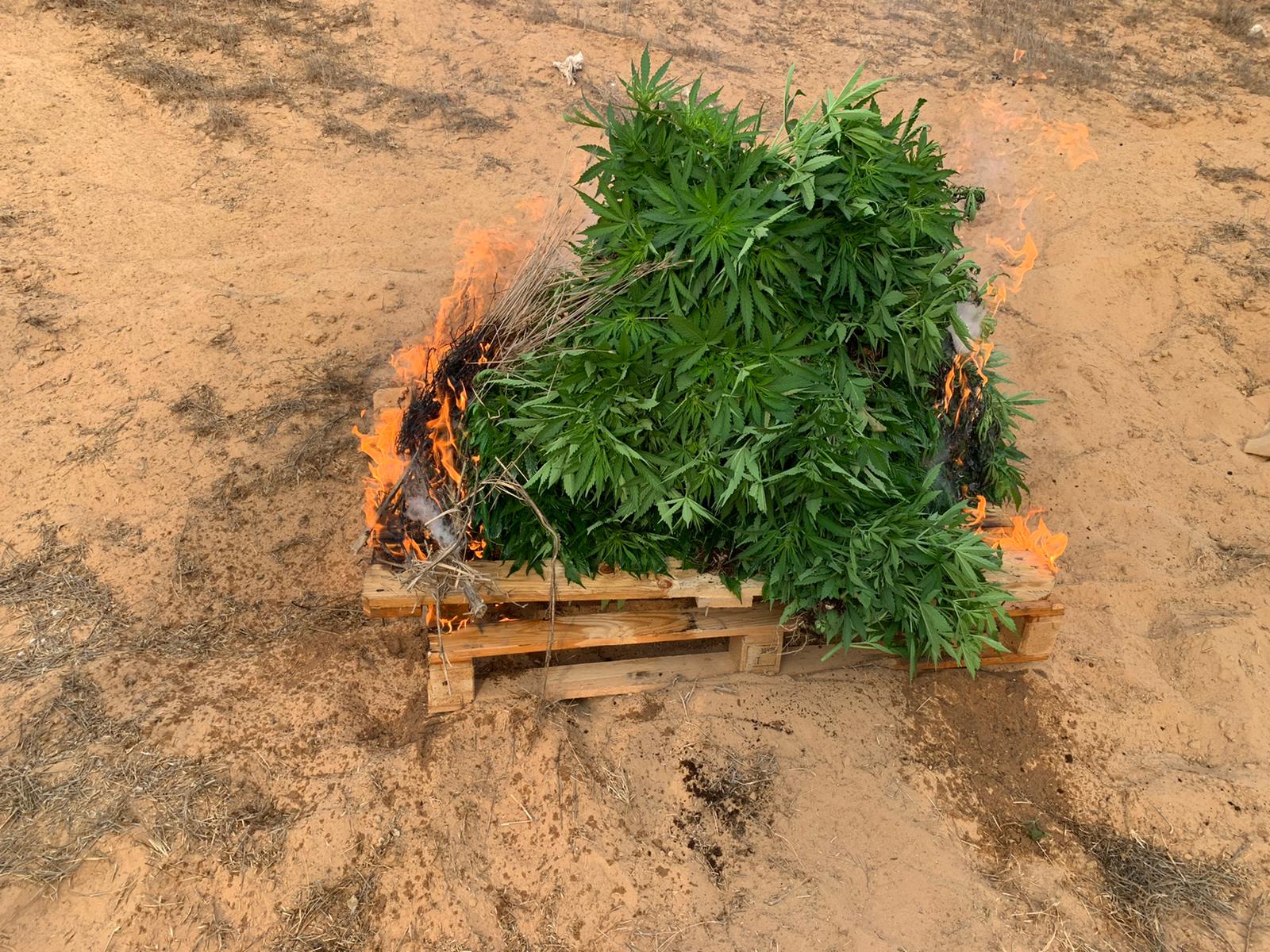 דוברות משטרה