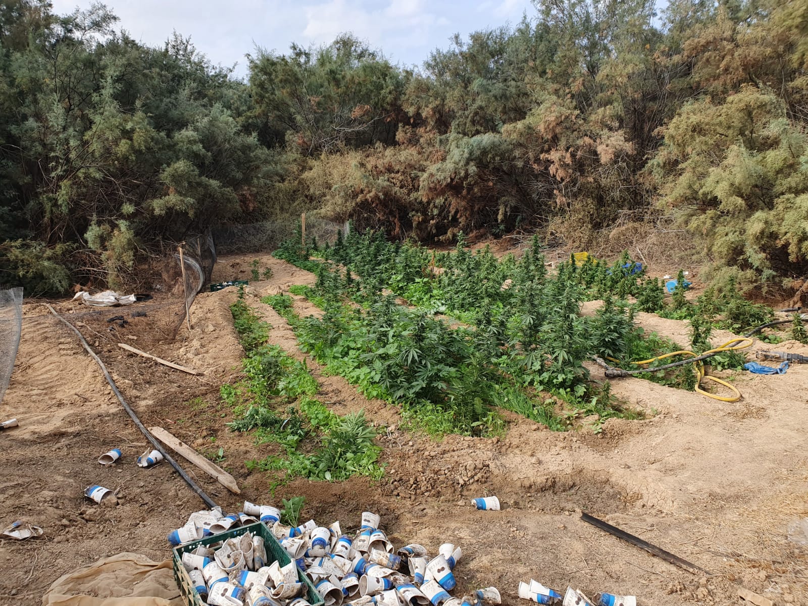 דוברות משטרה