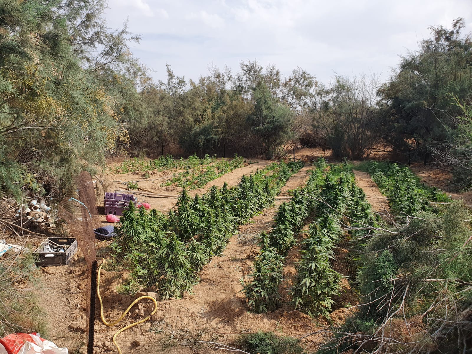 דוברות משטרה