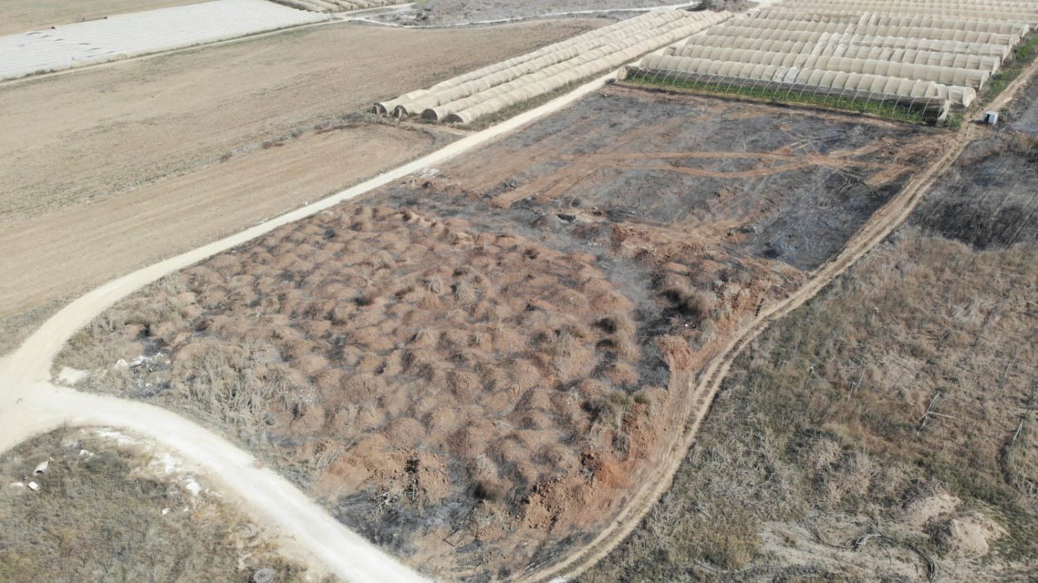 דוברות משטרה