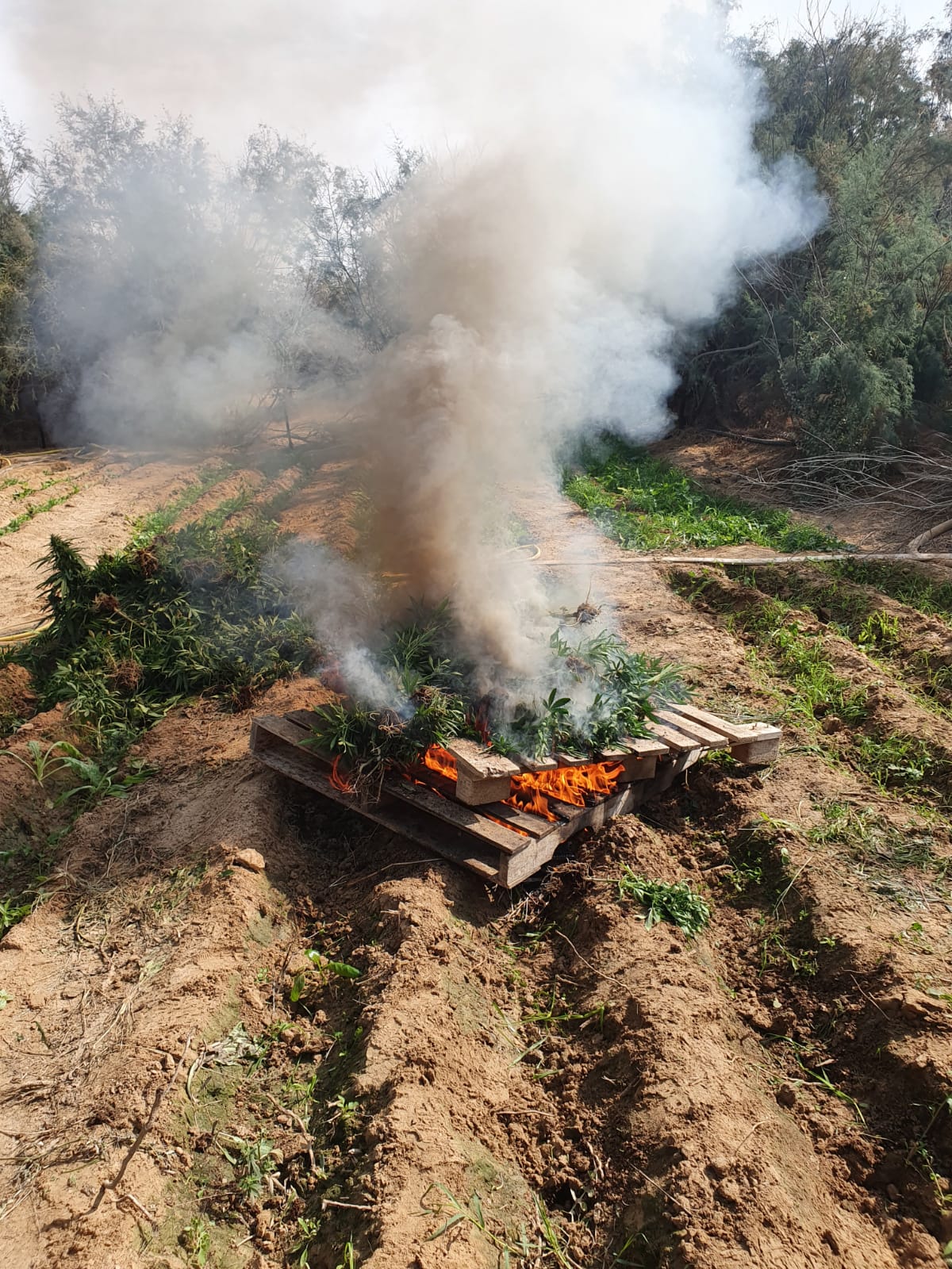דוברות משטרה