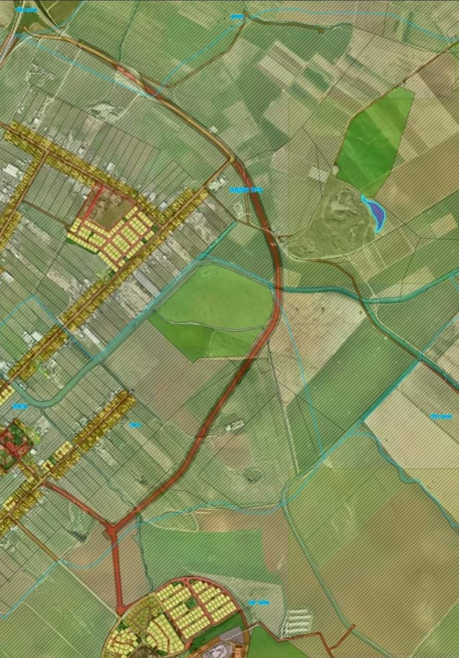 דוברות חוף אשקלון