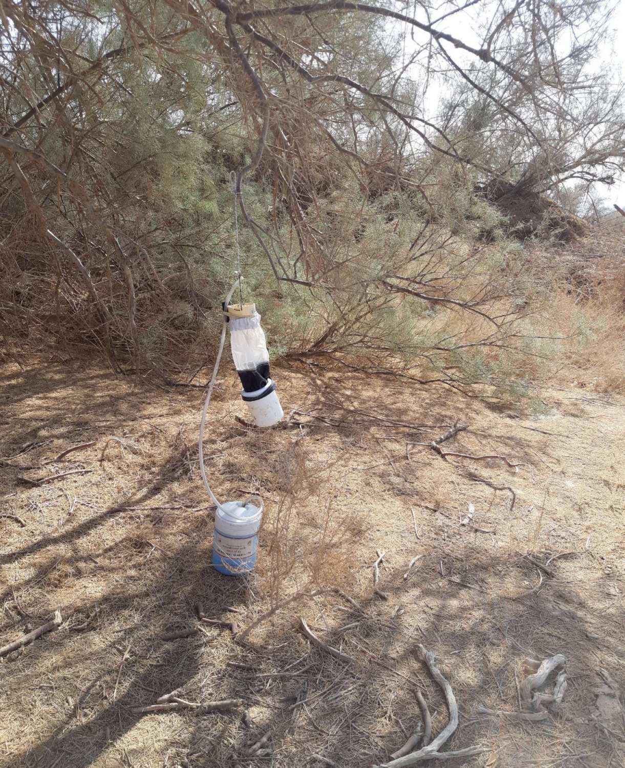 בריכות חמצון גרופית בערבה. צילום - איתי נוה, רשות הטבע והגנים 