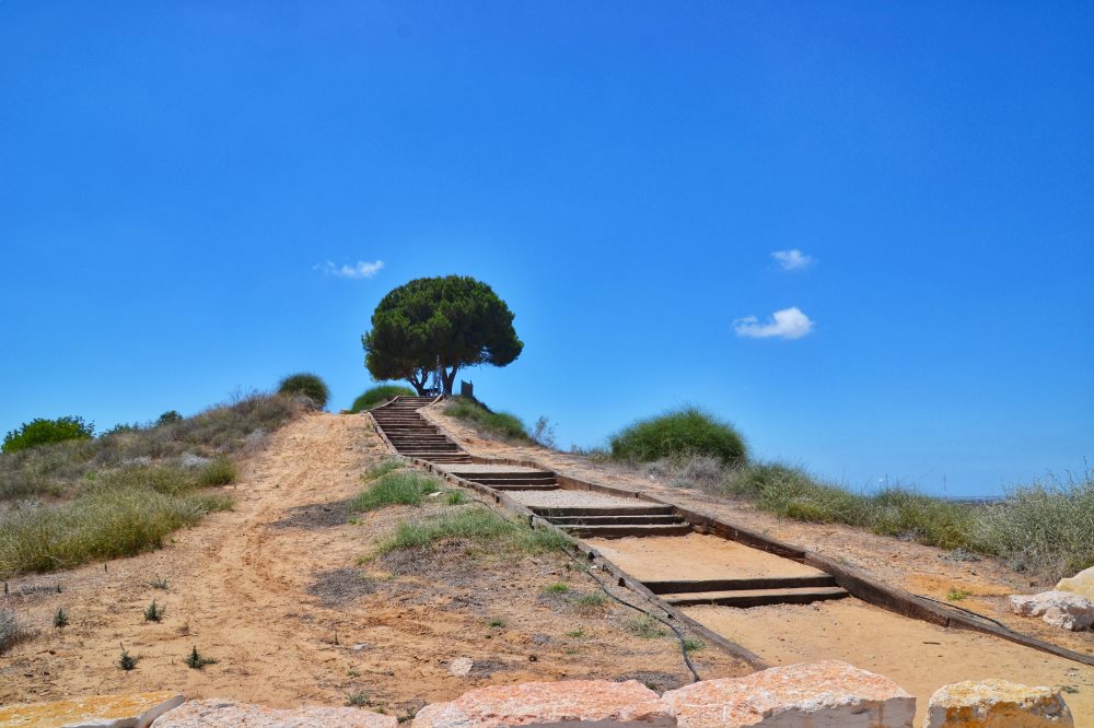 גבעת שומר השדות -עוטף עזה - צילום אלדה נתנאל