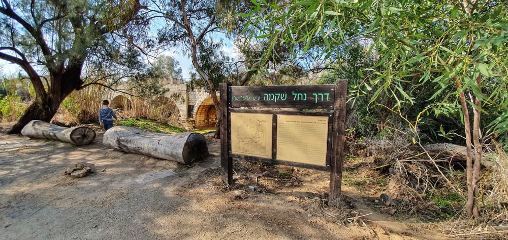 נחל שקמה - צילום אלדה נתנאל