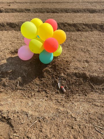 מועצה אזורית אשכול