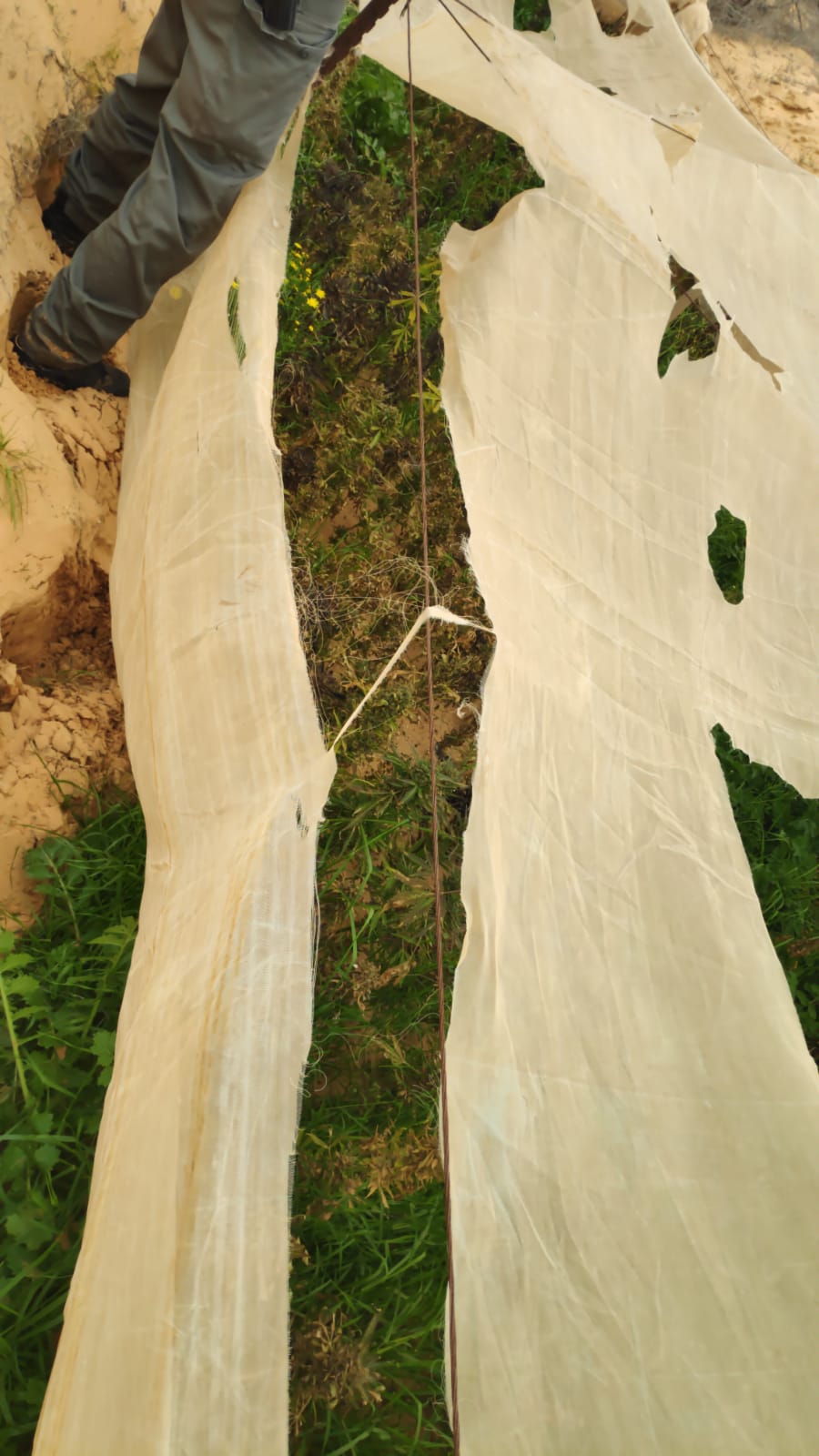 דוברות משטרה