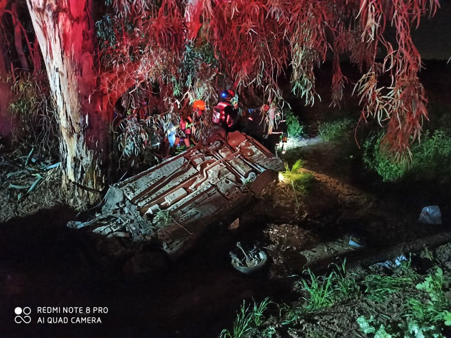 דוברות איחוד הצלה