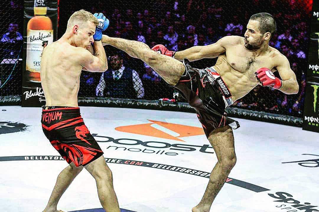 אלמוג במהלך קרב. קרדיט: בלאטור ישראל, חיים גוזלי