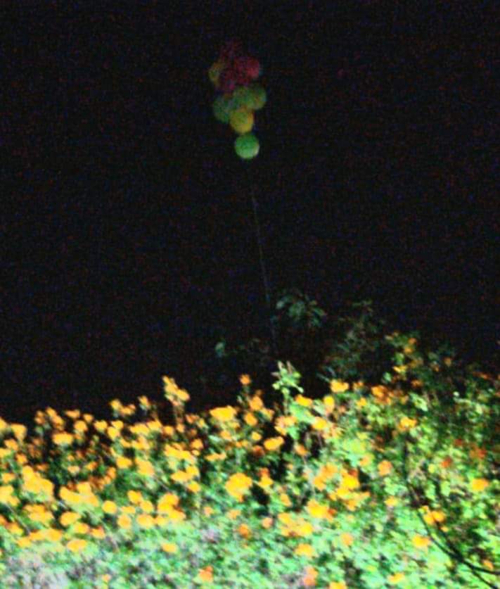 צילום בני נוער מושב ניר משה 