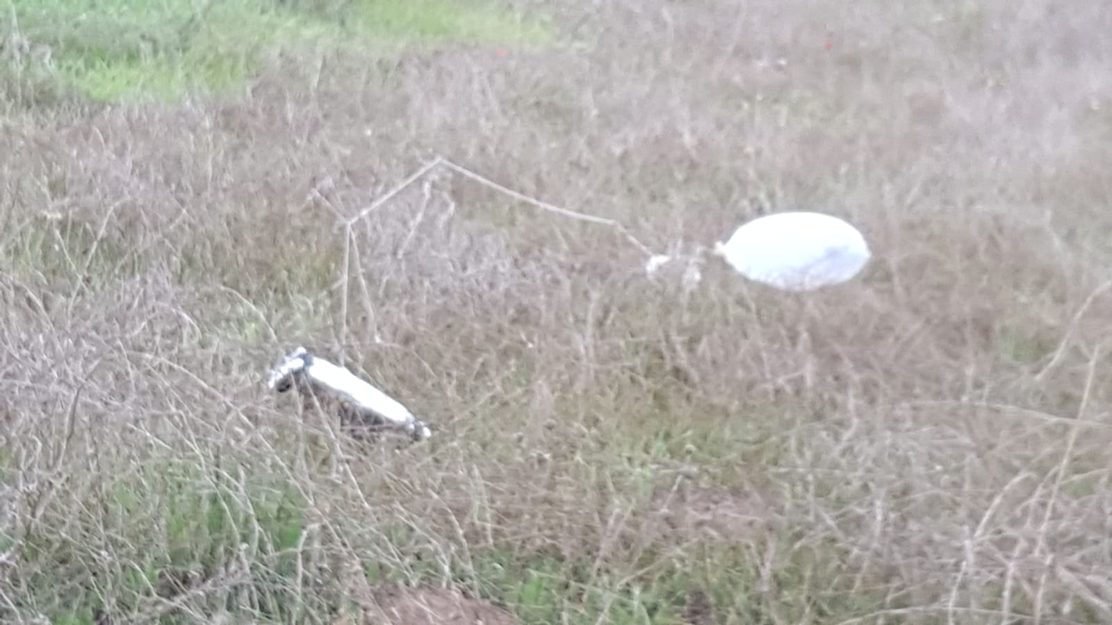 דוברות משטרה