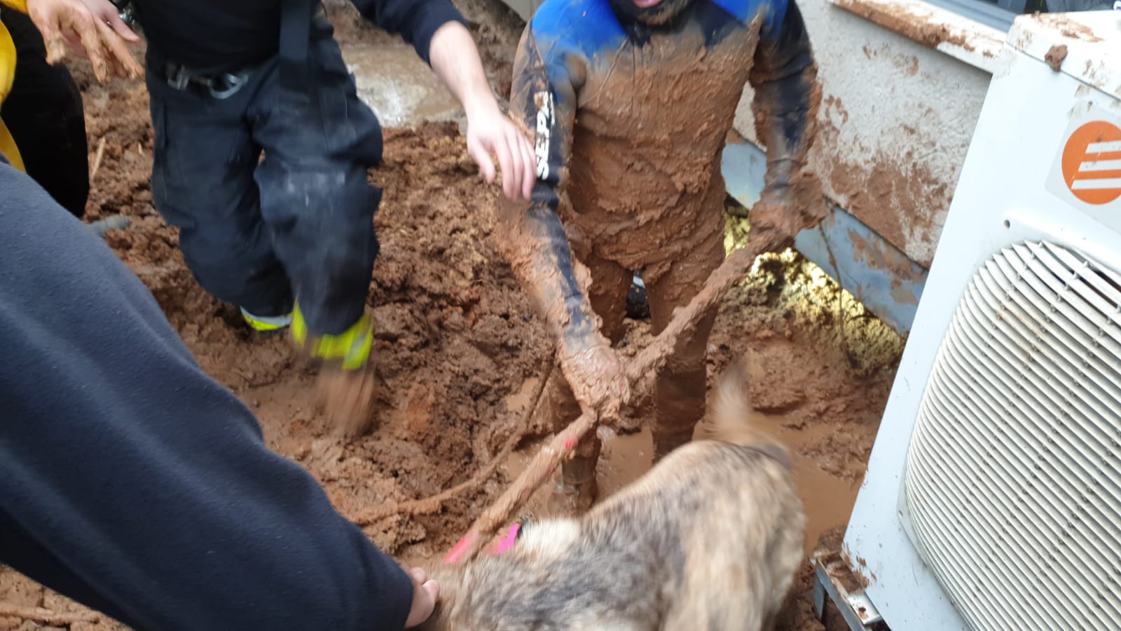 דוברות כב"ה מחוז דרום