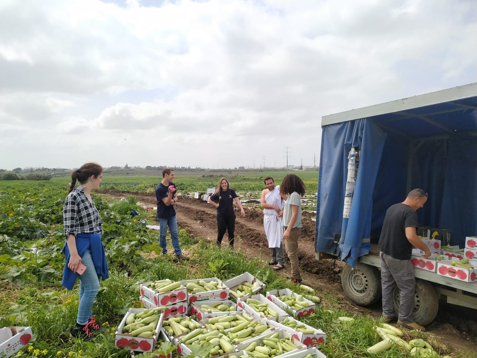 מתנדבים אמש בקטיף אצל חקלאי בנווה ימין שנותר ללא ידיים עובדות