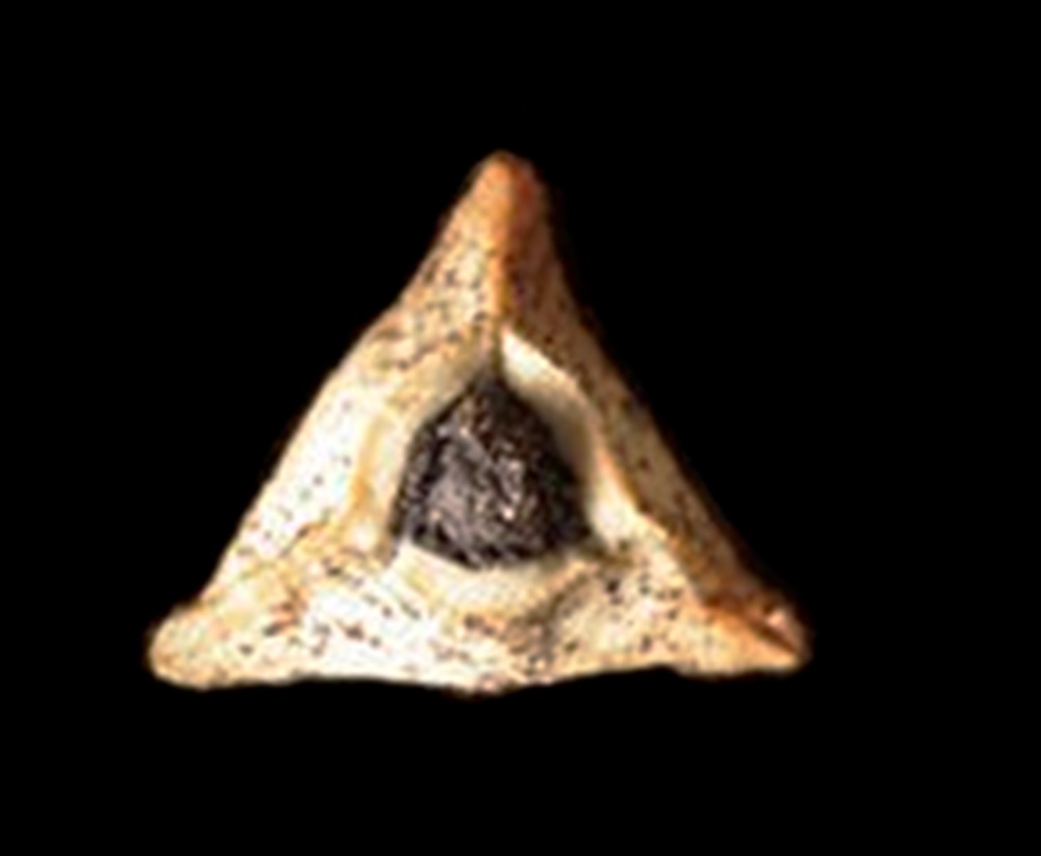 צילום דניאל לילה