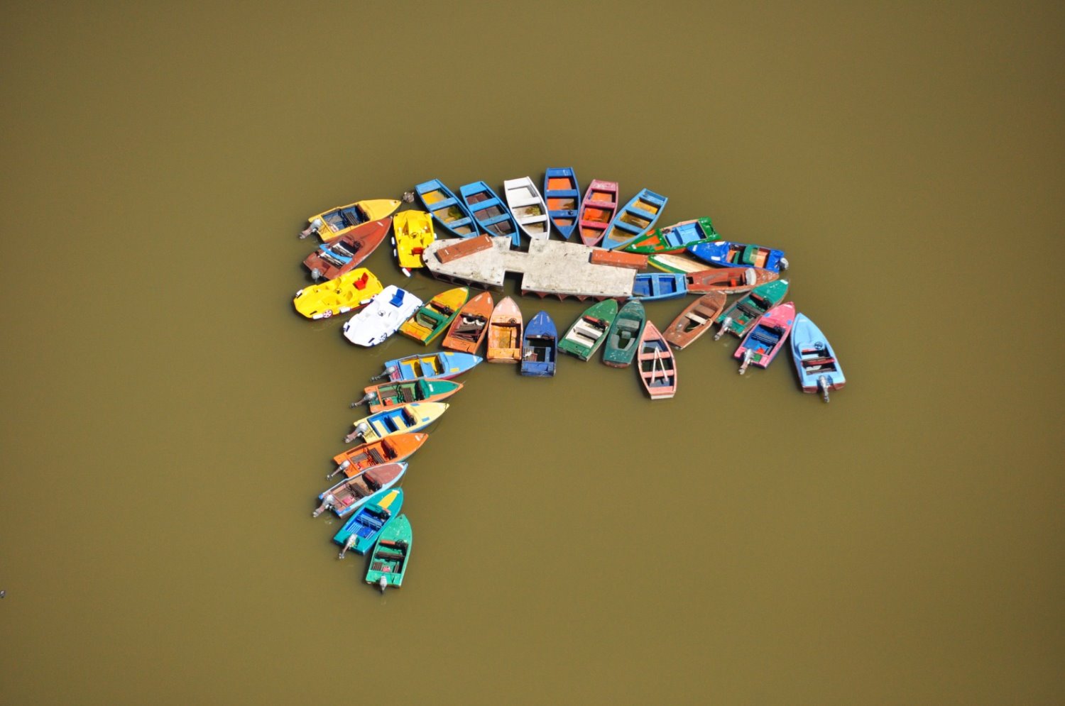 צילום אמנון זיו 