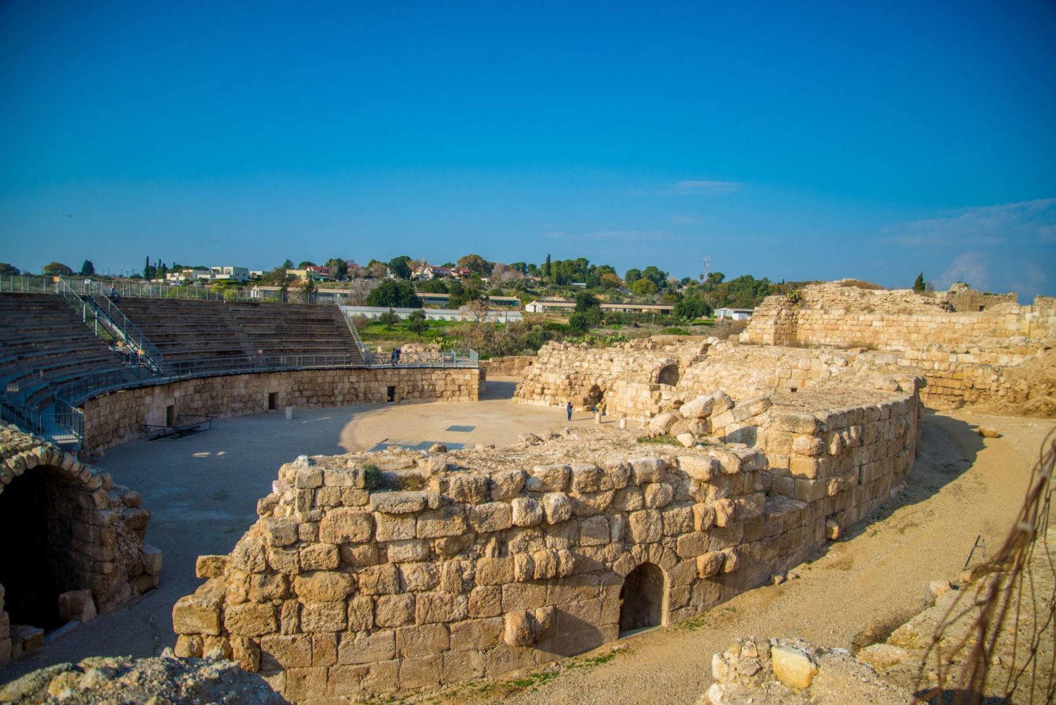 צילום מנו גרינשפן