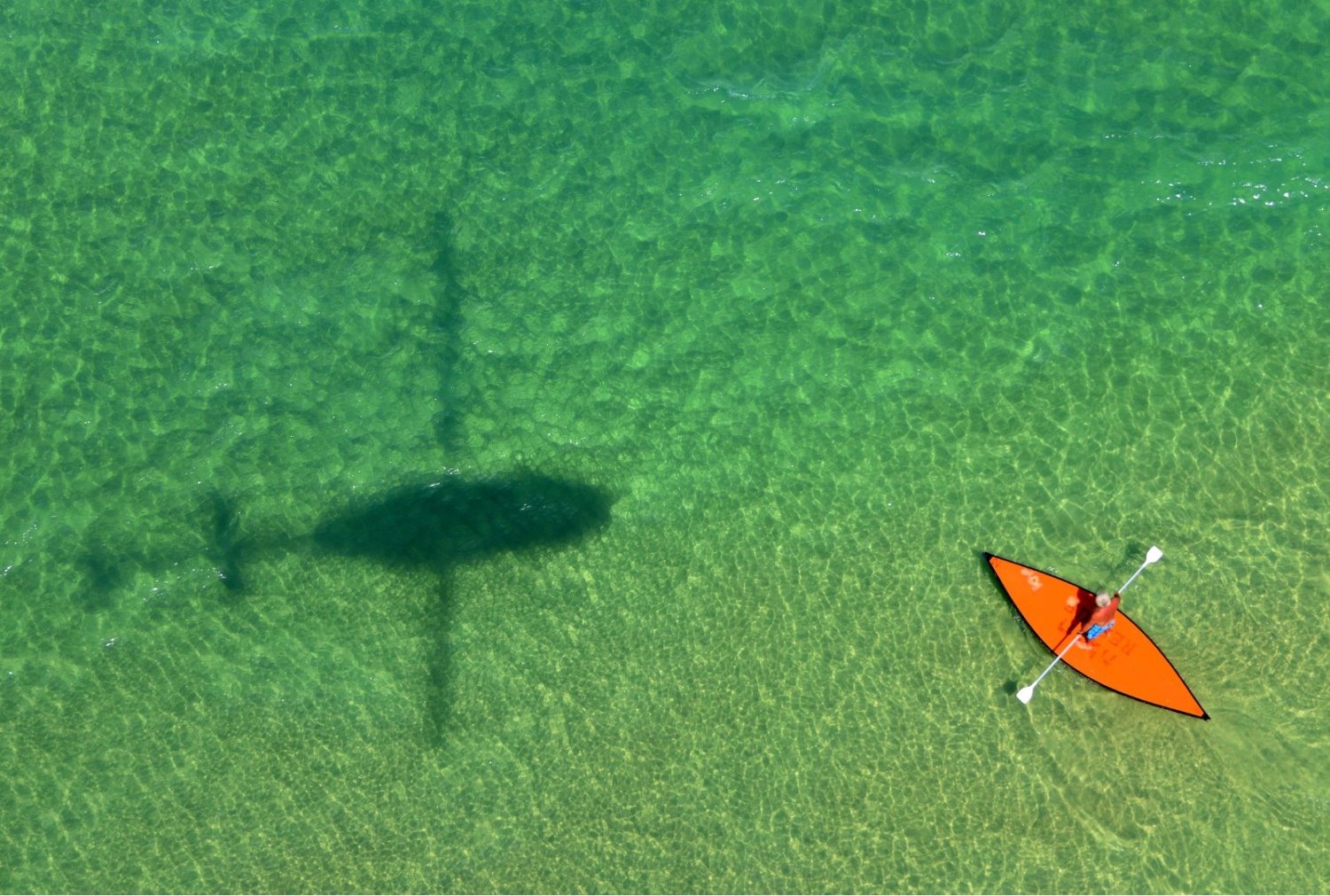 צילום אמנון זיו