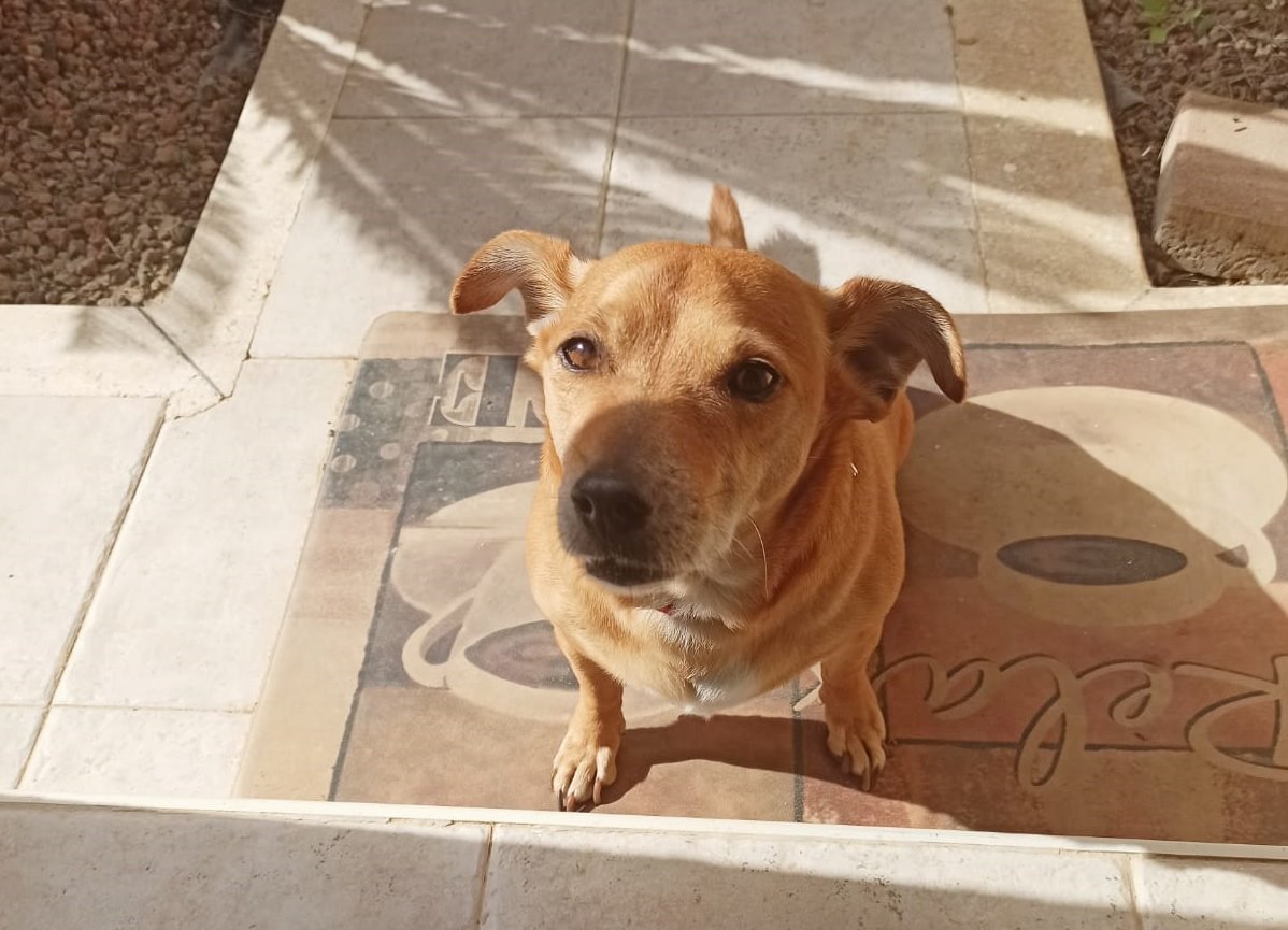 צילום: יהלי אוזן