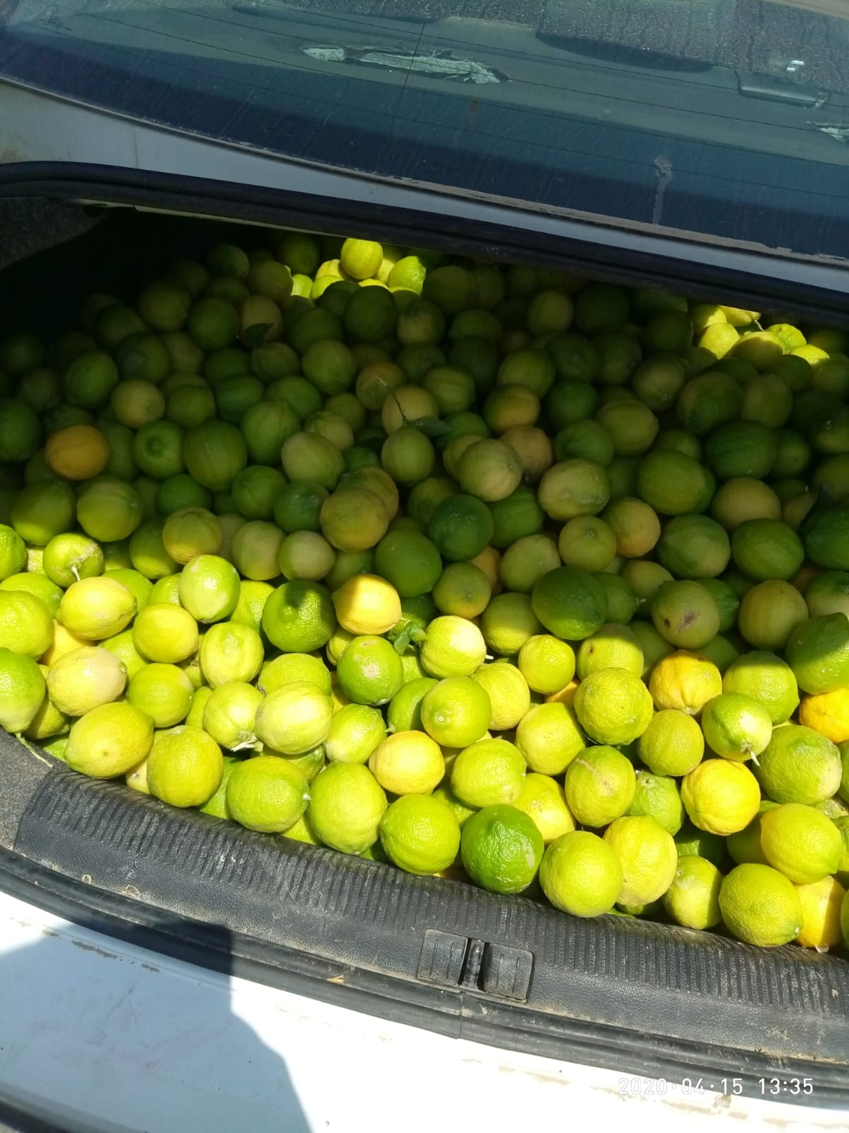 דוברות משטרה